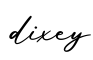 单词dixey书写