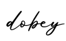 单词dobey书写