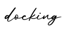 单词docking书写