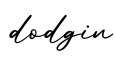 单词dodgin书写