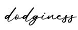 单词dodginess书写