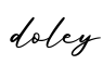 单词doley书写
