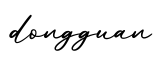 单词dongguan书写