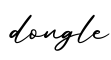 单词dongle书写