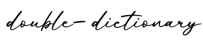单词double-dictionary书写