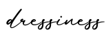 单词dressiness书写