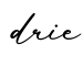 单词drie书写