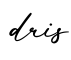 单词dris书写