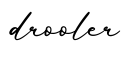 单词drooler书写