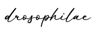 单词drosophilae书写