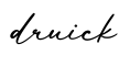 单词druick书写