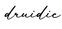单词druidic书写