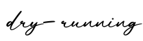 单词dry-running书写