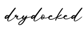单词drydocked书写