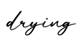 单词drying书写