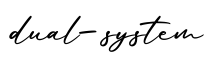 单词dual-system书写