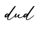 单词dud书写