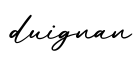 单词duignan书写
