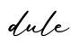 单词dule书写