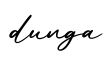 单词dunga书写