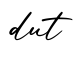单词dut书写