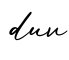 单词duv书写
