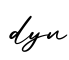 单词dyn书写