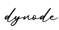 单词dynode书写
