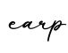 单词earp书写
