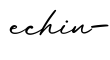 单词echin-书写