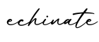 单词echinate书写