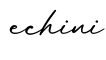 单词echini书写