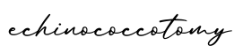 单词echinococcotomy书写