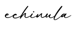 单词echinula书写