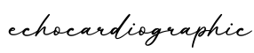单词echocardiographic书写