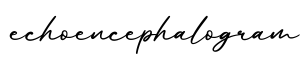 单词echoencephalogram书写