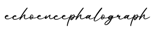 单词echoencephalograph书写