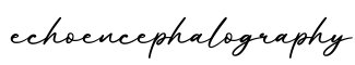 单词echoencephalography书写