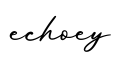 单词echoey书写