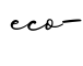 单词eco-书写