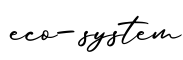 单词eco-system书写