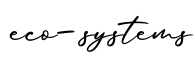 单词eco-systems书写