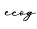 单词ecog书写