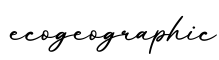 单词ecogeographic书写