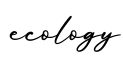 单词ecology书写
