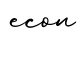 单词econ书写