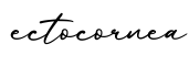 单词ectocornea书写