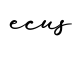单词ecus书写