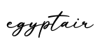 单词egyptair书写