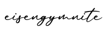 单词eisengymnite书写